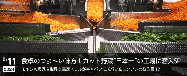食卓のつよ～い味方！カット野菜“日本一”の工場に潜入SP
