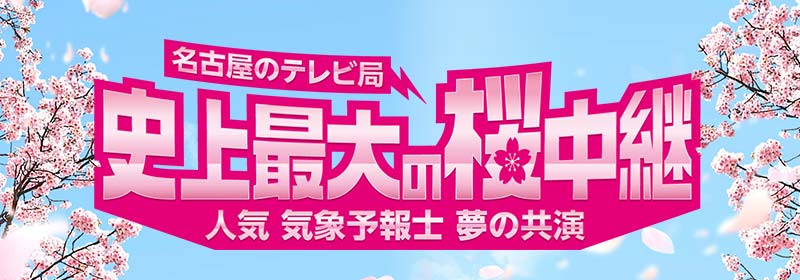 名古屋のテレビ局 史上最大の桜中継 5局の人気気象予報士が夢の共演！