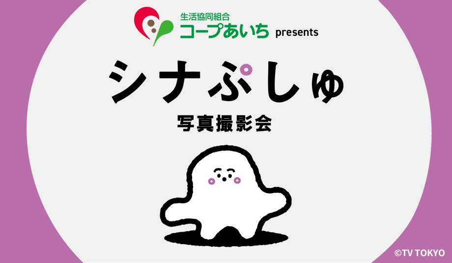 シナぷしゅ写真撮影会