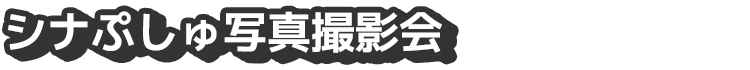 シナぷしゅ写真撮影会
