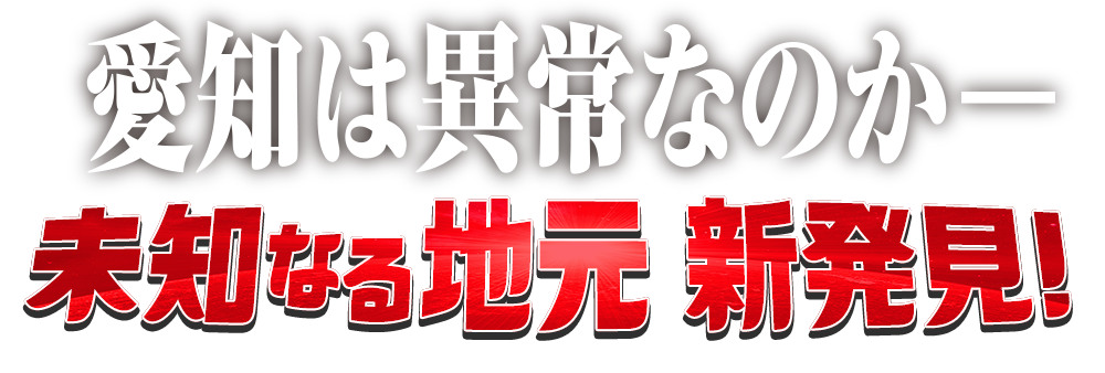 愛知県は異常なのか 未知なる地元 新発見