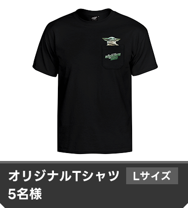 オリジナルTシャツ Lサイズ 5名様