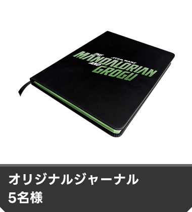 オリジナルジャーナル 5名様