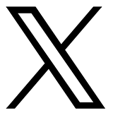 公式X