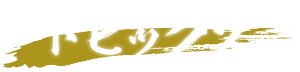トピックス