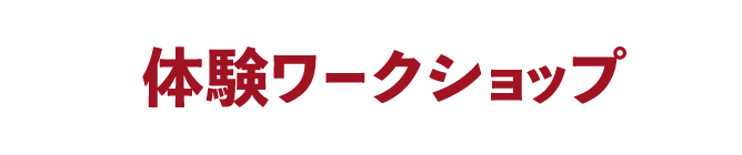 ワークショップ