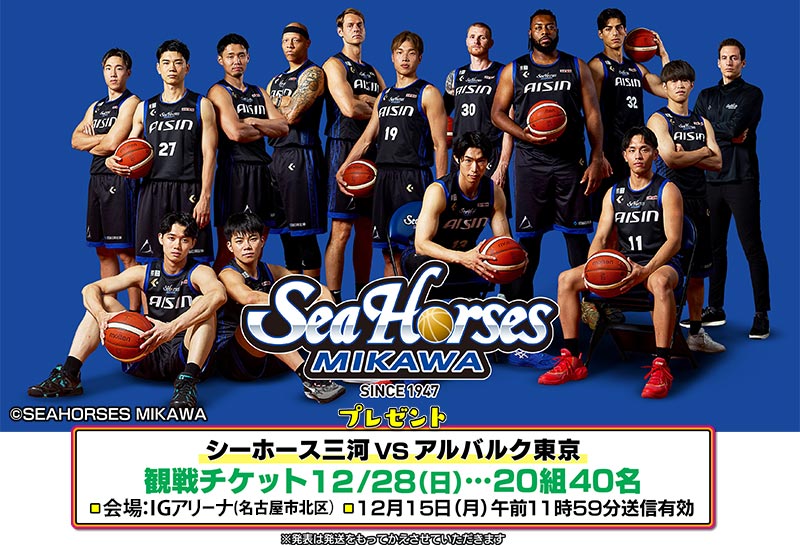 シーホース三河VSアルバルク東京 観戦チケット12月28日（日）…20組40名様
