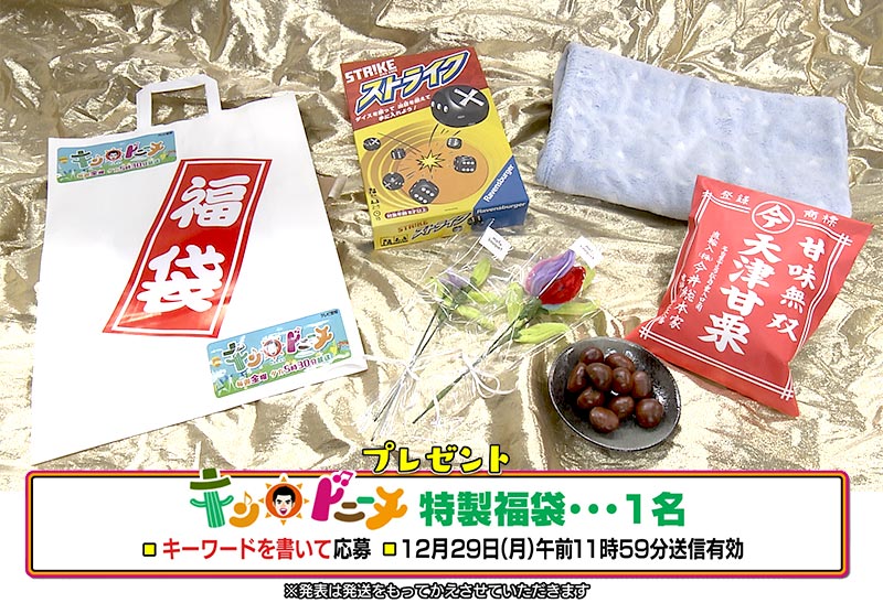 シーホース三河VSアルバルク東京 観戦チケット12月28日（日）…20組40名様