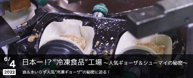 日本一の“冷凍食品”工場～人気ギョーザ＆シューマイの秘密～