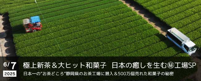 極上新茶&大ヒット和菓子 日本の癒しを生む㊙工場SP 日本一の“お茶どころ“静岡県のお茶工場に潜入&500万個売れた和菓子の秘密
