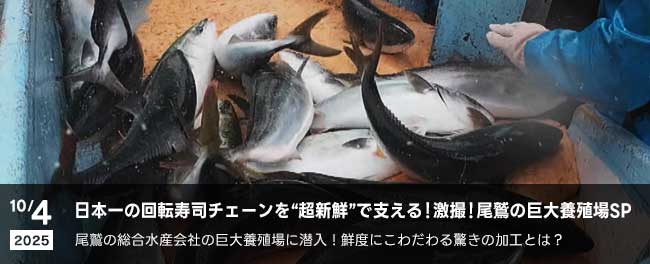日本一の回転寿司チェーンを“超新鮮”で支える！激撮！尾鷲の巨大養殖場SP　尾鷲の総合水産会社の巨大養殖場に潜入！鮮度にこわだわる驚きの加工とは？