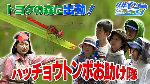 2025年7月17日放送