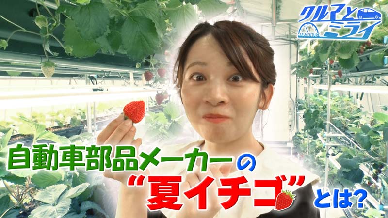 2025年8月21日放送