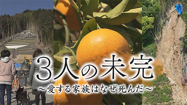 3人の未完　～愛する家族はなぜ死んだ～