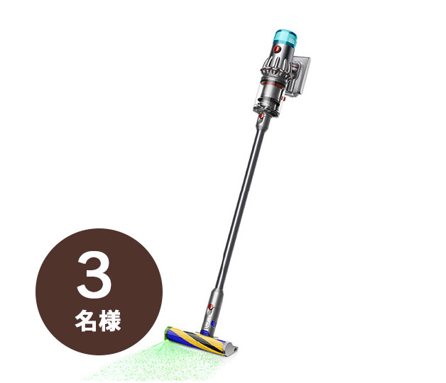 Dyson V12 Detect Slim Fluffy