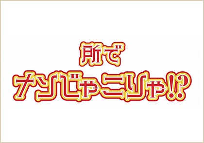 所でナンじゃこりゃ！？予習復習スペシャル