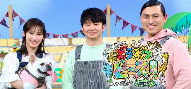 どうぶつピース テレビ愛知