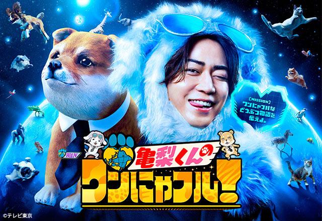 亀梨くんのワンにゃフル！