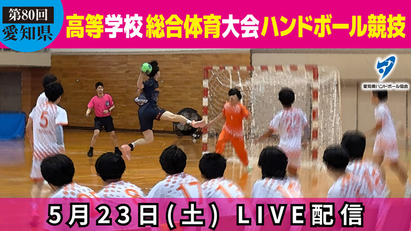 第80回 愛知県高等学校総合体育大会 ハンドボール競技