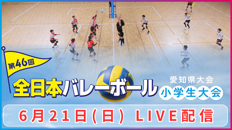 第46回 全日本バレーボール小学生大会 愛知県大会 LIVE配信