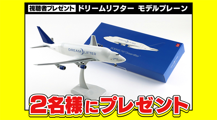 ドリームリフター　モデルプレーン　2名様