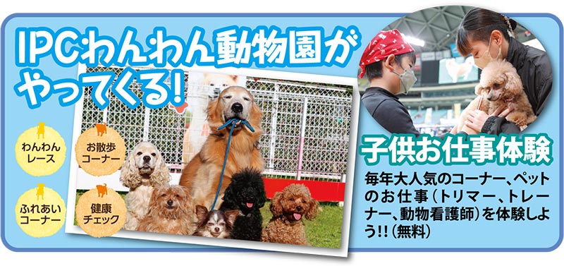 子供お仕事体験 毎年大人気のコーナー、ペットのお仕事（トリマー、トレーナー、動物看護師）を体験しよう！！（無料）
