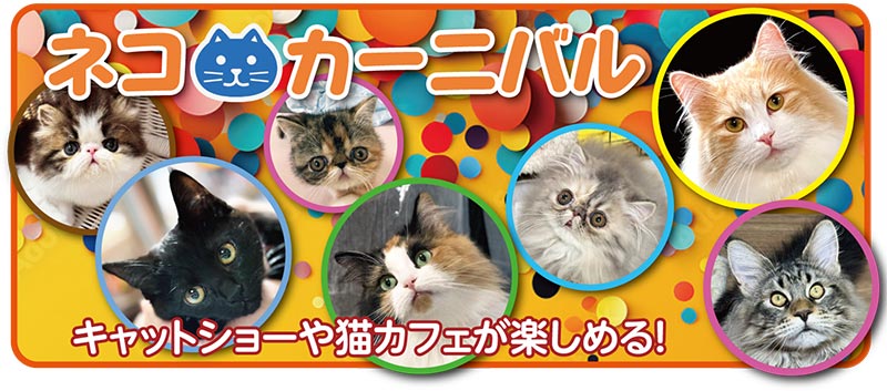 キャットショーや猫カフェが楽しめる！