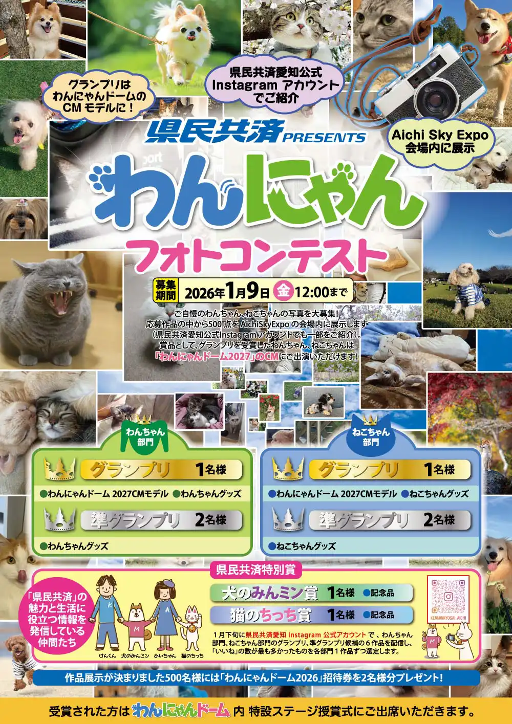 わんにゃんフォトコンテスト